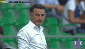 ligue 1 soccer GIF by Toulouse Football Club