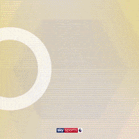 Goal Wolves GIF by skysports