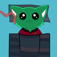 Cat Bear GIF by MEOW