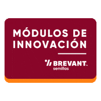 Brevant Sticker by cortevaarg