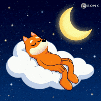 Starry Sky Fluffy Cloud GIF by BONK