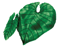 Plant Draw Sticker
