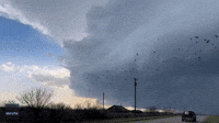 Birds Flee as Ominous Storm Cloud Looms Over Texas Panhandle