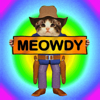 Cowboy Hello GIF