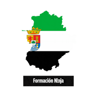 Flag Spain Sticker by Formación Ninja