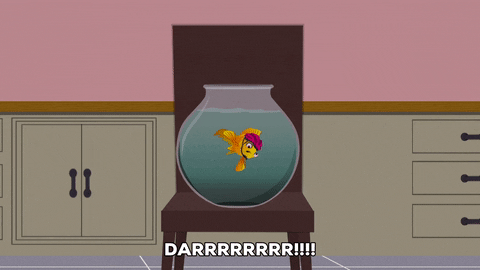 water fish GIF by South Park 
