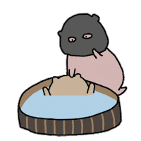 Honestthebear Sticker by hearhonest