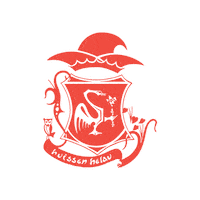 Carnaval Sticker by Kraonige Zwaone