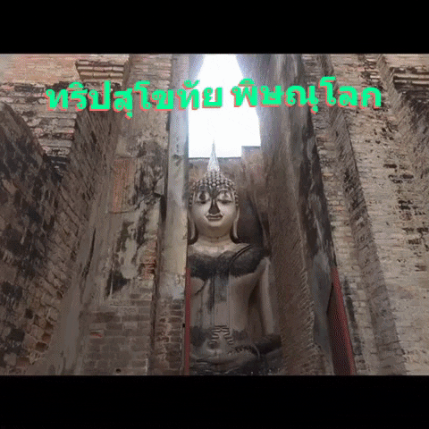 century888 giphygifmaker GIF