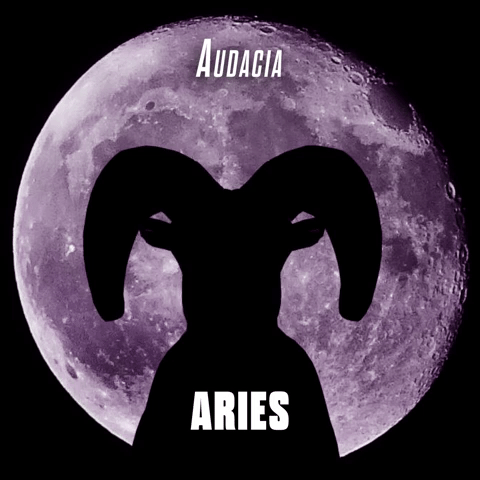 Audacia Aries