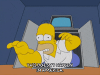 Episode 4 GIF by The Simpsons