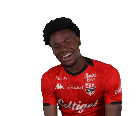 Ligue 2 Football Sticker by EA Guingamp
