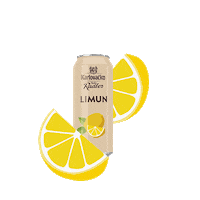 Beer Drink Sticker by karlovackopivo