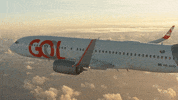 travel flying GIF by GOL Linhas Aéreas