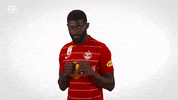 Red Bull Knockout GIF by FC Red Bull Salzburg