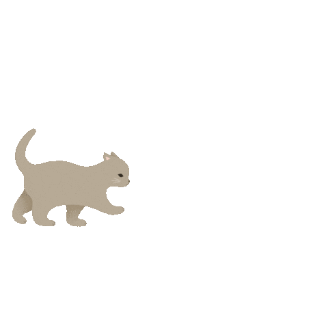 kkvng giphyupload cat animal pet Sticker