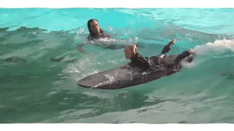 Water Park Summer GIF by les Sommets