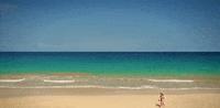 hawaii GIF