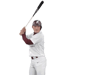 Active Sticker by Kiwoom Heroes Baseball Club