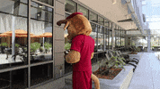 csudhteddytoro confused csudh teddy toro teddytoro GIF