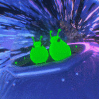 Brrd GIF