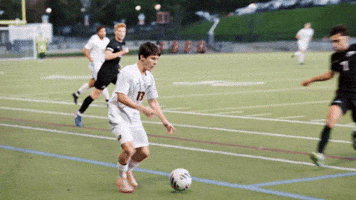 Mens Soccer GIF by Norwich University