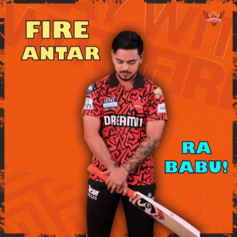 Fire Wildfire GIF by SunRisers Hyderabad