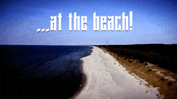 Music Video Beach GIF by Four Rest Films