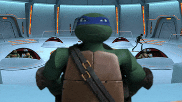 nickelodeon GIF by Teenage Mutant Ninja Turtles