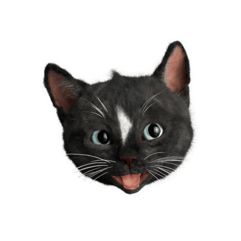 FeliniRocks giphygifmaker happy cat cats Sticker