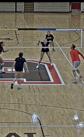GIF by Brown Volleyball