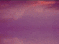 Footage Oaf GIF by jorgemariozuleta