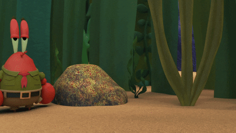Kamp Koral GIF by SpongeBob SquarePants