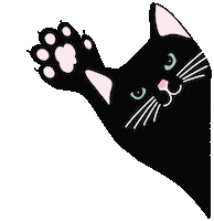 Black Cat Hello Sticker