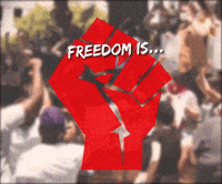 Freedom Is Voting Rights