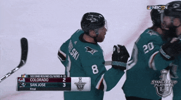 ice hockey hug GIF by NHL