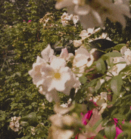 New York Fashion Week GIF by NYFW: The Shows