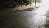 Vol 1 Congo GIF