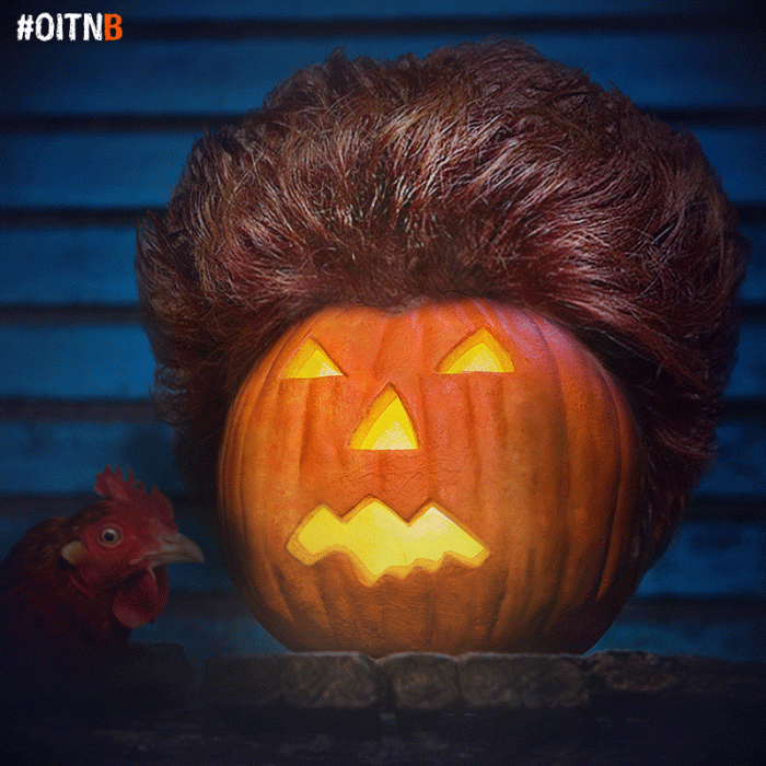 Orange Is The New Black GIF by NETFLIX