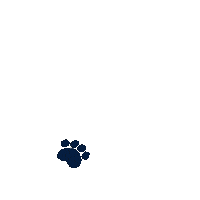 Hoyas Hoya Saxa Sticker by Georgetown University