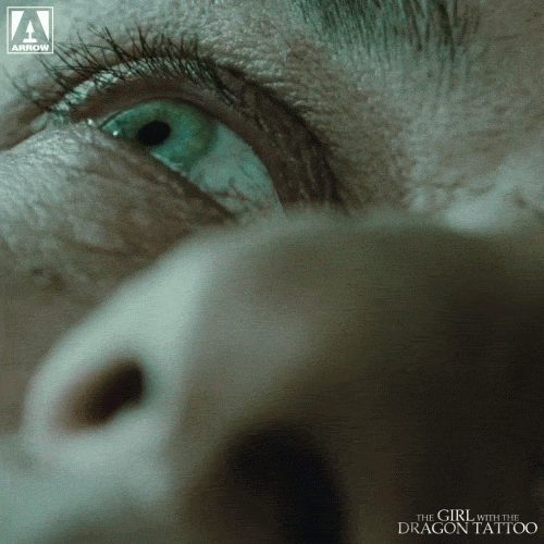 Stieg Larsson GIFs Find & Share on GIPHY