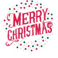 Merry Christmas Bitcoin Sticker by Zypto