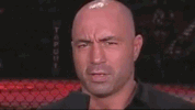 tinder GIF