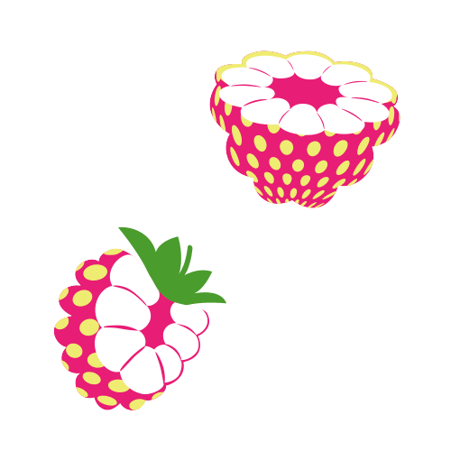 Raspberry Sticker by drinkwildwonder