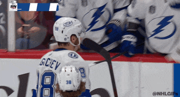 Happy Ice Hockey GIF by NHL