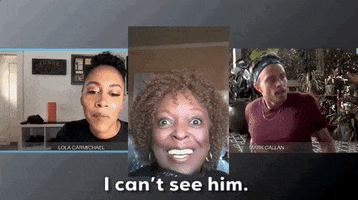 All Rise Zoom GIF by CBS