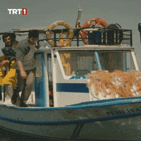Fish Sea GIF by TRT