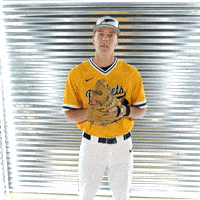 Catcher GIF by Toledo Rockets