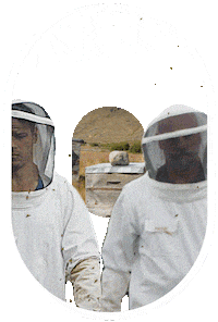 Starz Men In Kilts Sticker by Men in Kilts: A Roadtrip with Sam and Graham