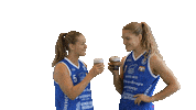 Sport Koripallo Sticker by Basket_fi